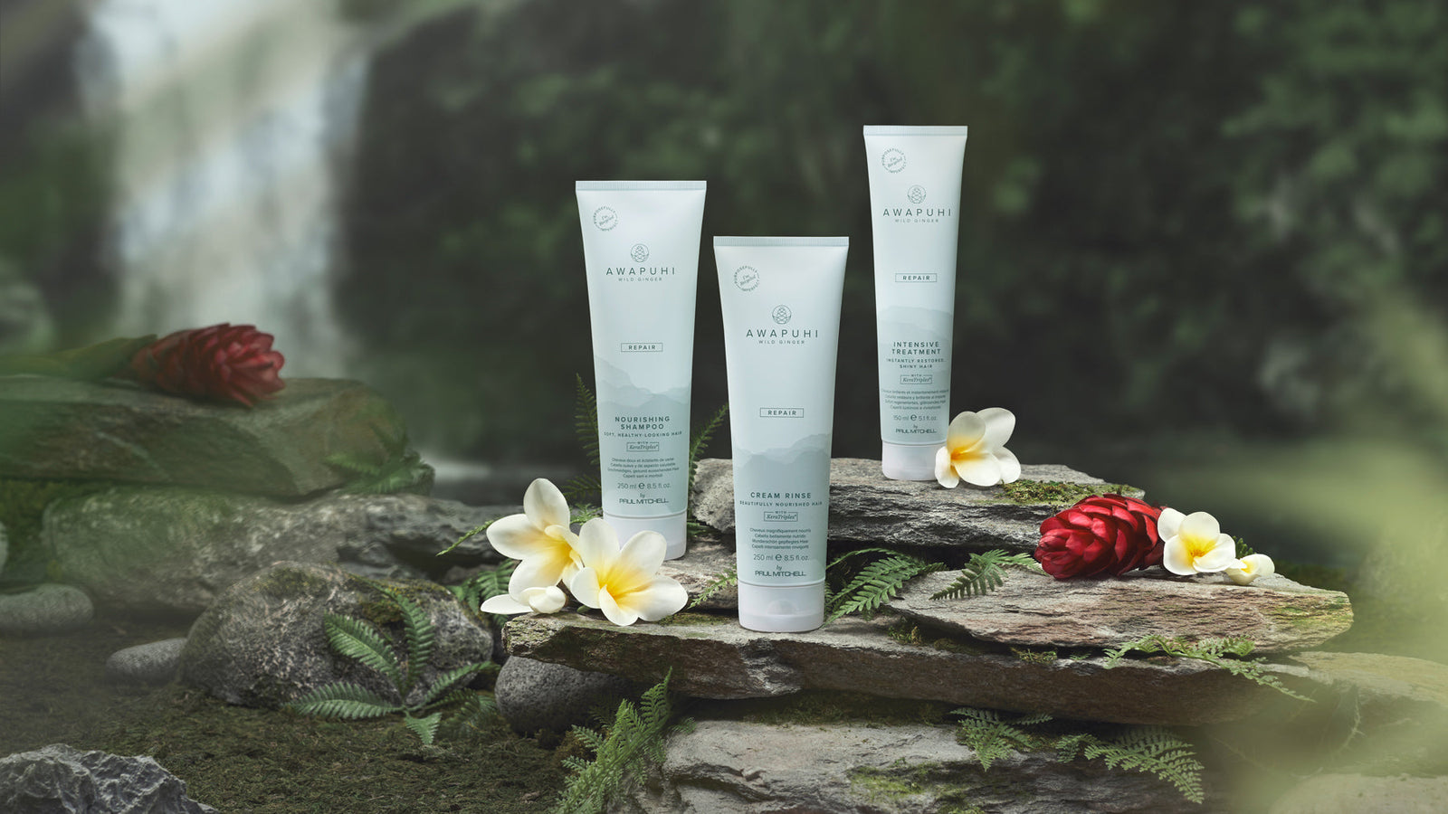AWAPUHI WILD GINGER – Repair