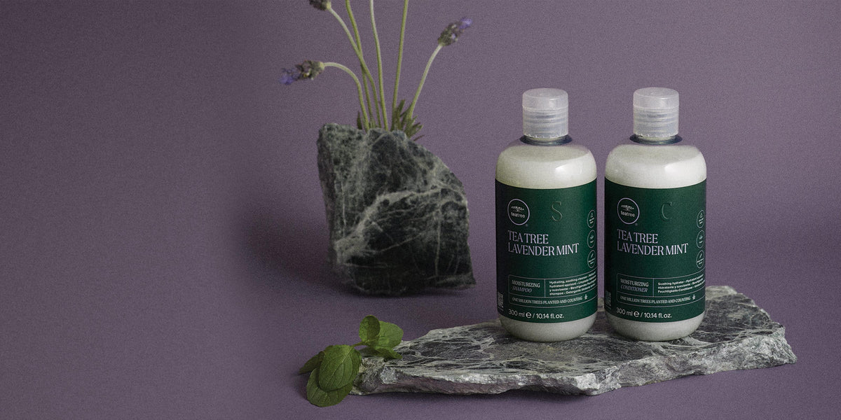 TEA TREE Lavender Mint – Feuchtigkeit - Paul Mitchell