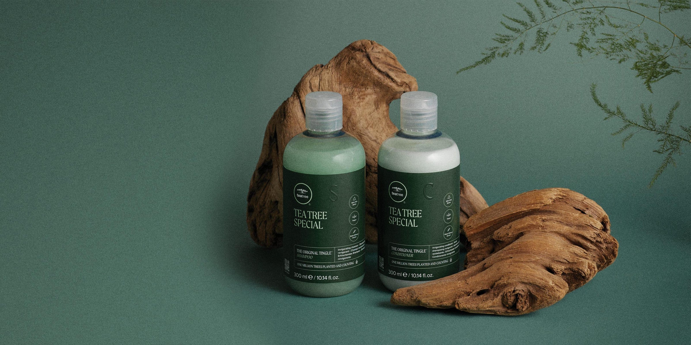 TEA TREE Special – Frischekick - Paul Mitchell
