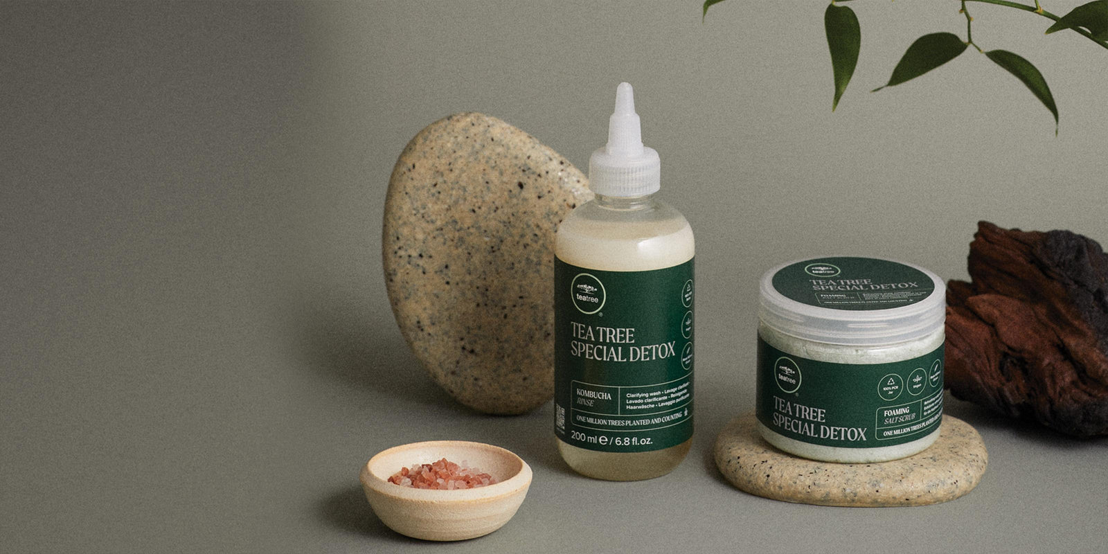 TEA TREE Detox – Tiefenreinigung - Paul Mitchell