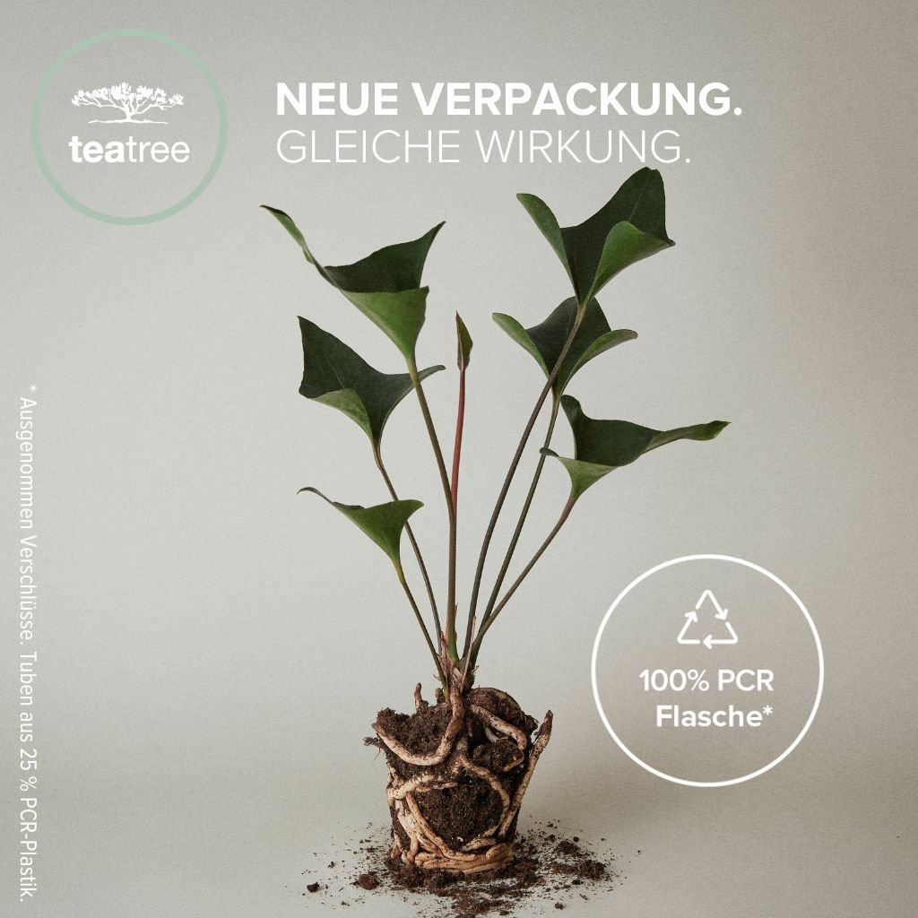 HEMP - Multitasking Spray